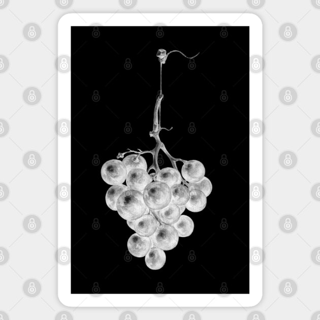 Bunch of blue grapes by Jean Bernard inversion Magnet by Helgar